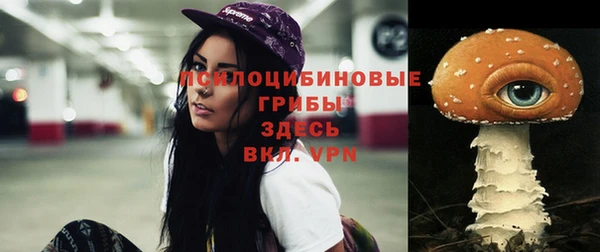 спайс Беломорск