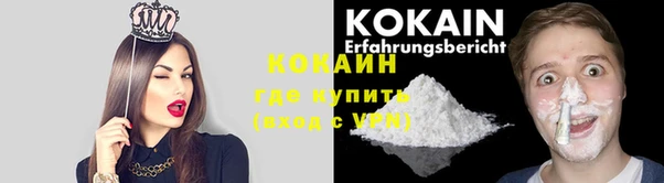 эйфоретик Богданович