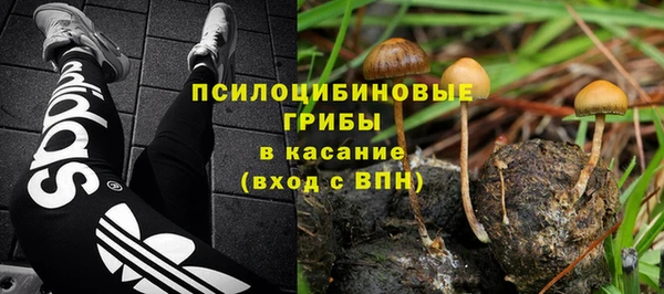 бошки Богородск