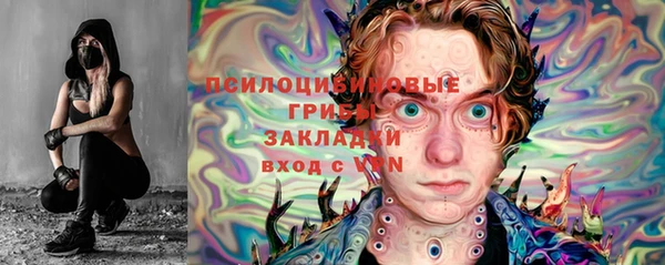 бошки Богородск