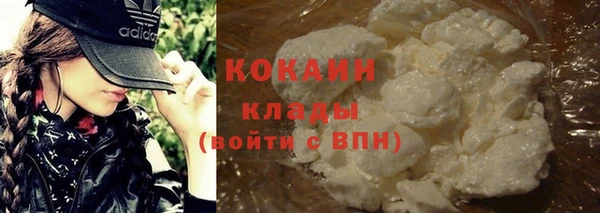 эйфоретик Богданович