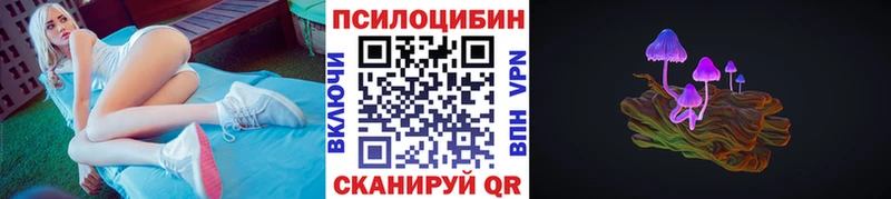 hydra как зайти  Короча  Галлюциногенные грибы прущие грибы  где купить  